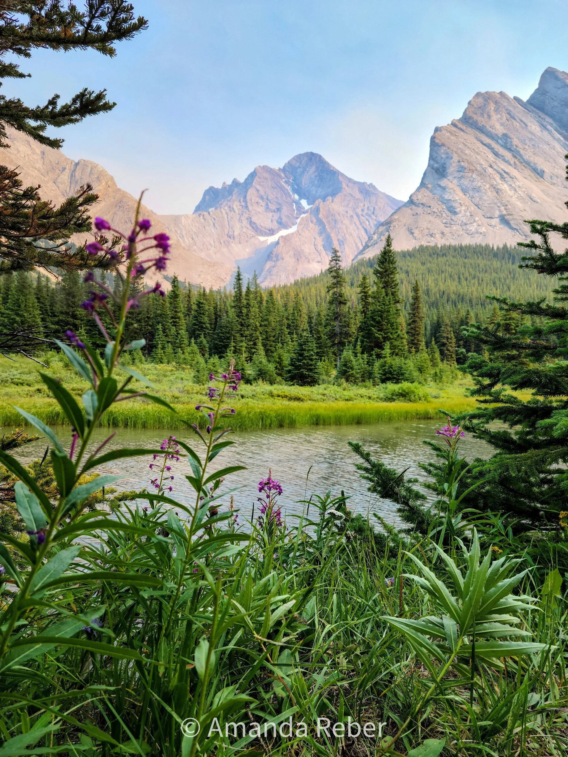 Tombstone top backcountry campground